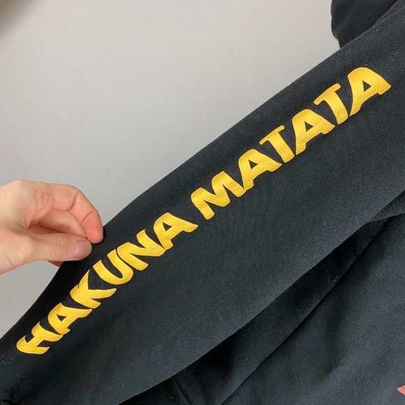 The Lion King Hakuna Matata Hoodie Juniors Size S (3-5) Simba Timon Pumbaa Zazu - Picture 5 of 12